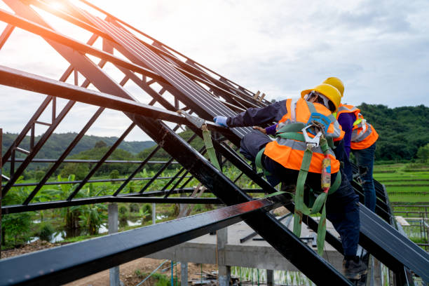 Best Storm Damage Roof Repair  in La Plata, MD