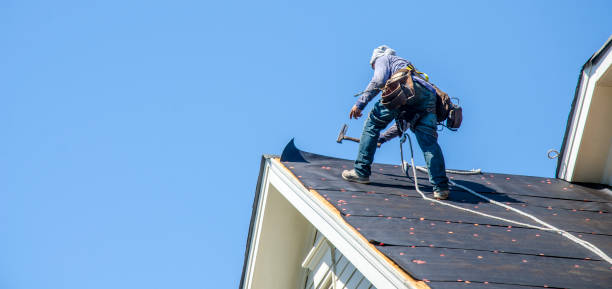 Best Storm Damage Roof Repair  in La Plata, MD